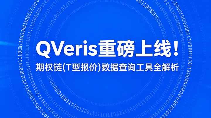 QVeris重磅上线！期权链(T型报价)数据查询工具全解析